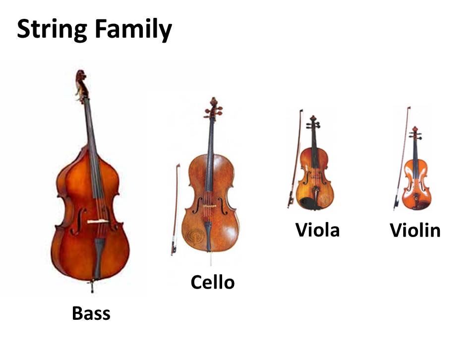 String instruments 